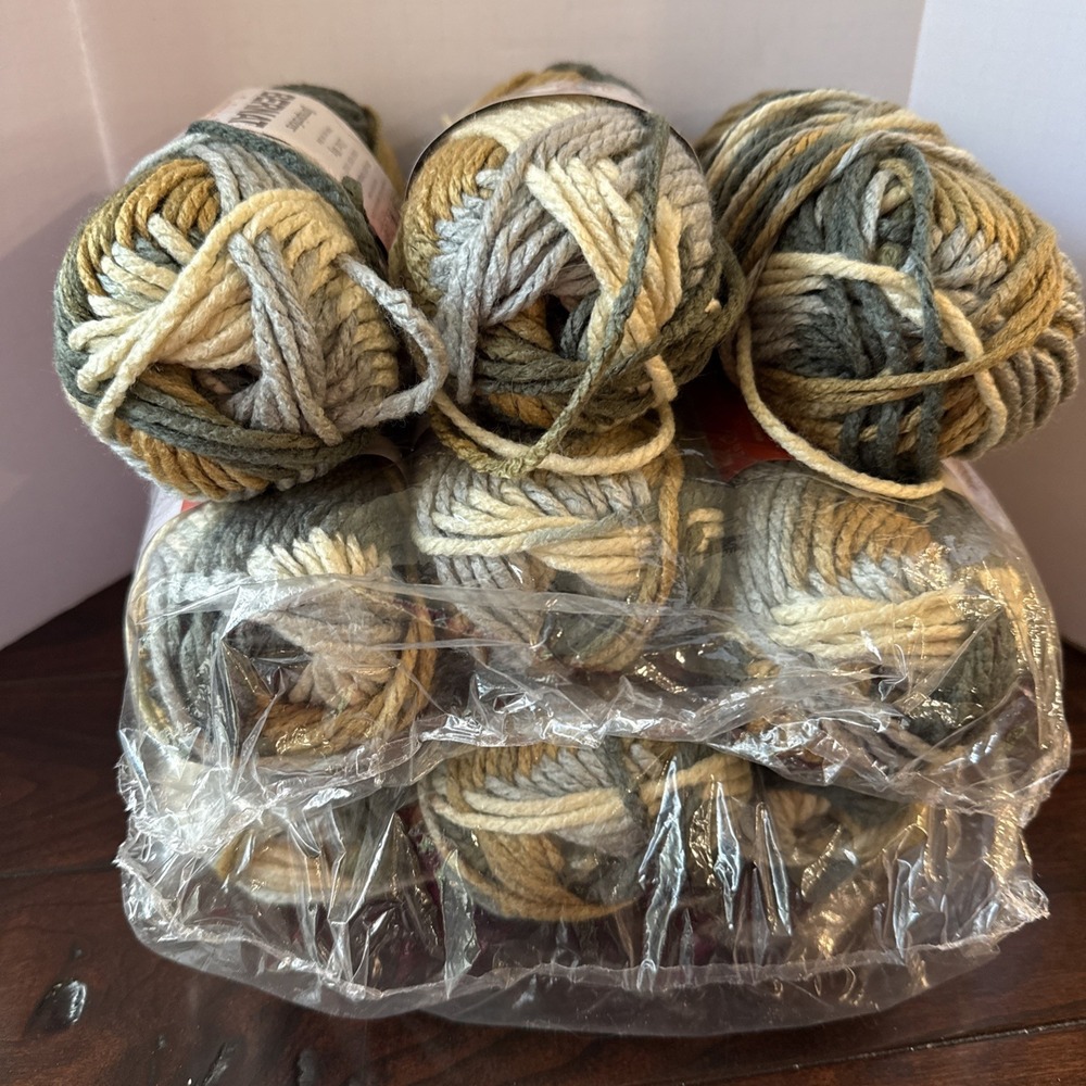 Bernat Softee Chunky Lot 9 Stillness Calme Tranquilidad Skeen Yarn 161129 NOS